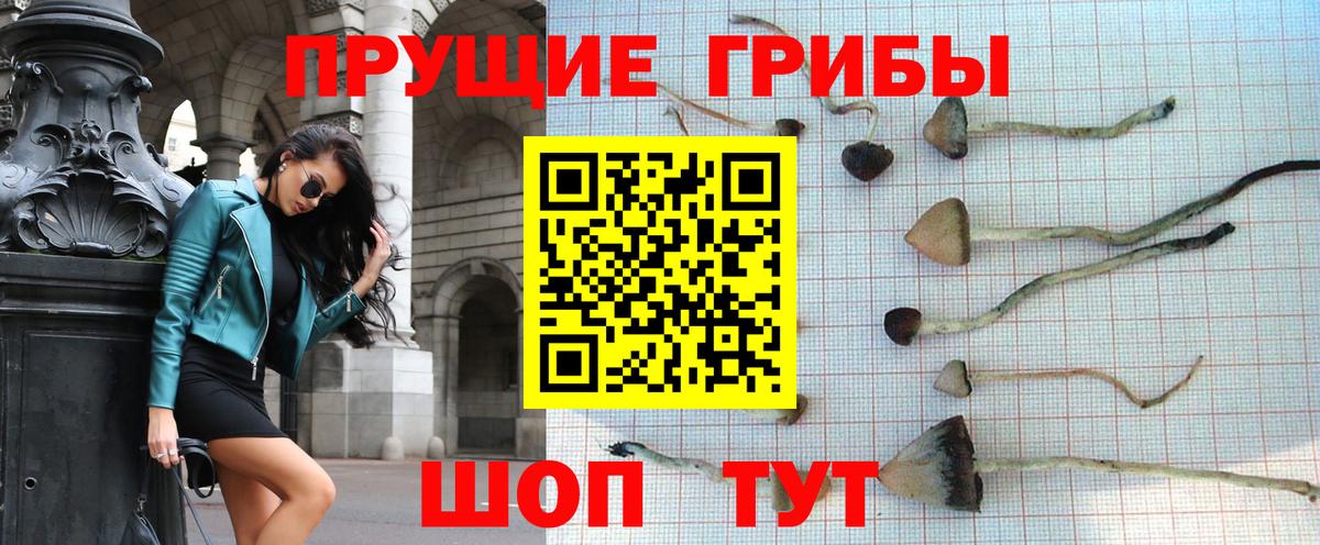 Галлюциногенные грибы прущие грибы Кашира